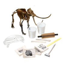 Load image into Gallery viewer, FOSSIL HUNT