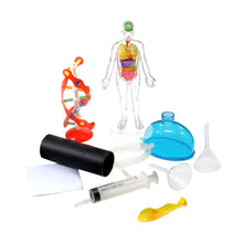 Load image into Gallery viewer, HUMAN ANATOMY