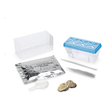 Load image into Gallery viewer, CRYSTAL GROWING - SAPPHIRE BLUE