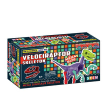 Load image into Gallery viewer, MEGA SKELETON - VELOCIRAPTOR
