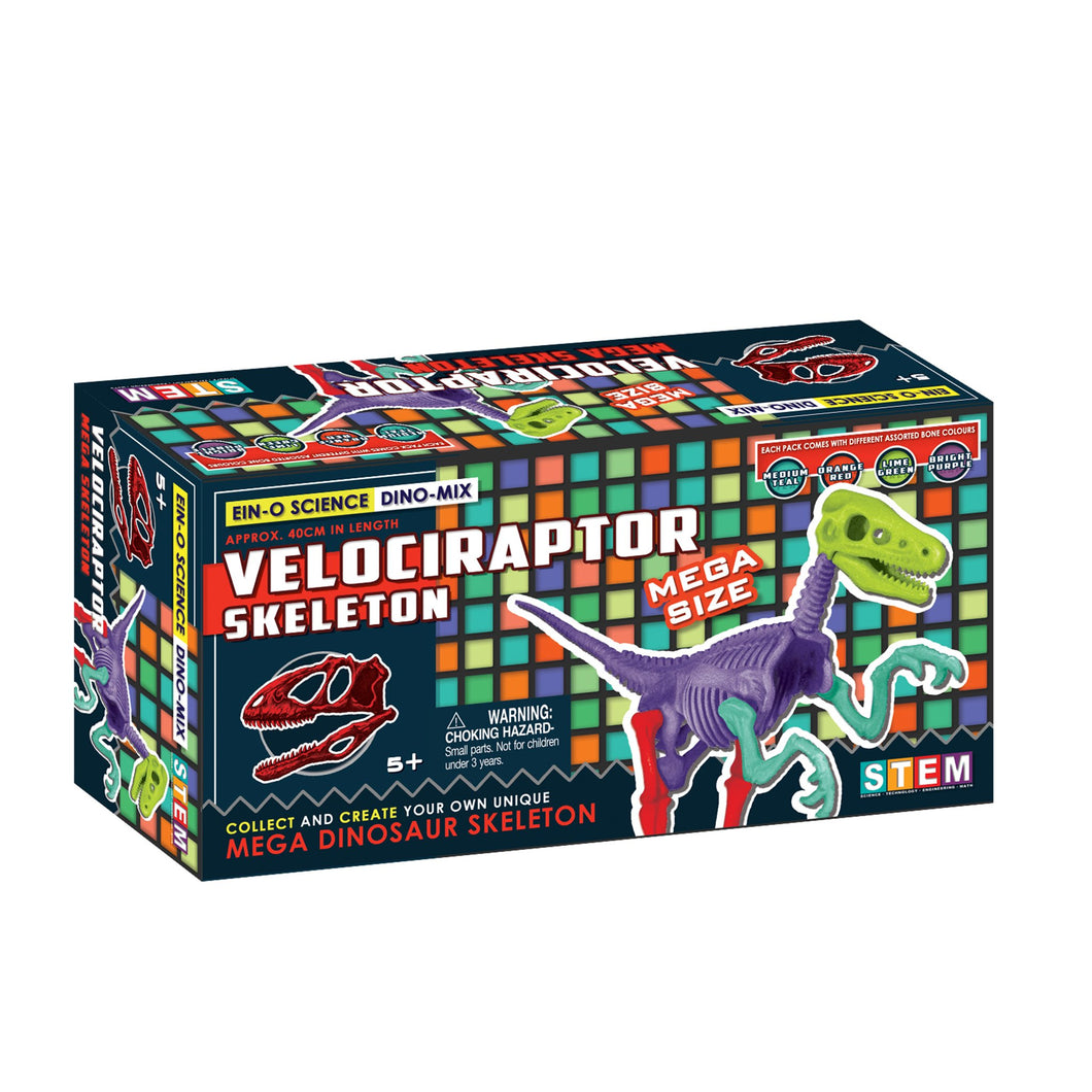MEGA SKELETON - VELOCIRAPTOR