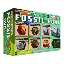 Load image into Gallery viewer, FOSSIL HUNT
