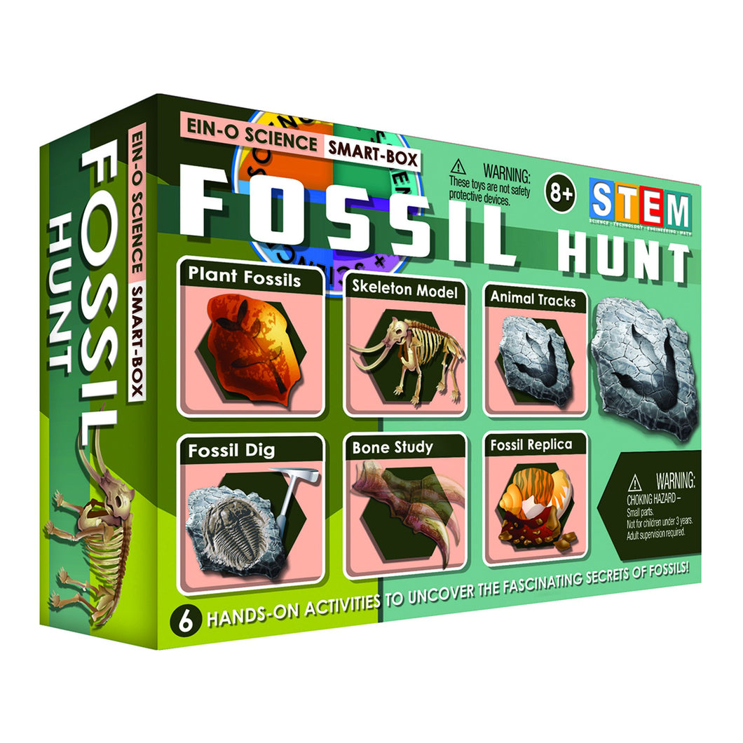 FOSSIL HUNT