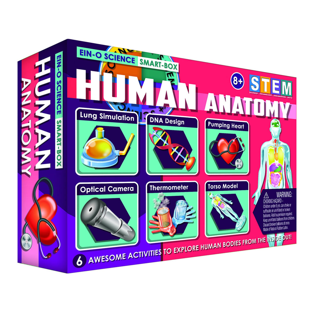 HUMAN ANATOMY