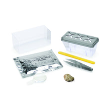 Load image into Gallery viewer, CRYSTAL GROWING - DIAMOND WHITE

